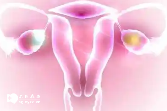 一文解读什么是性激素六项、amh是什么，两者的区别显而易见