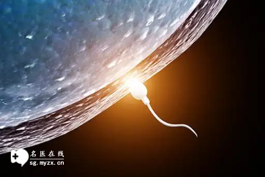 湛江做第三代试管婴儿的流程、费用及注意事项全解析（湛江做三代试管花费多少钱）