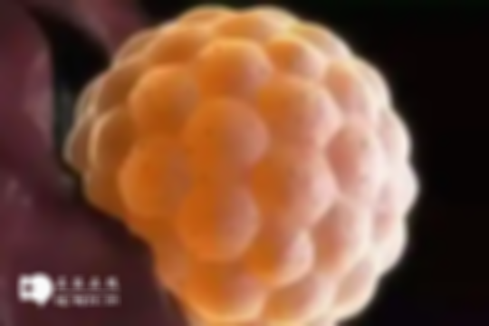 胚胎移植后发烧是着床反应吗？并非是这样，先了解原因看看
