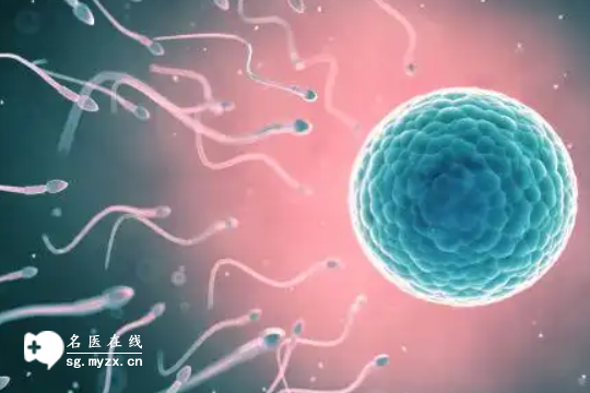 泰国试管没你想的那么贵！杰特宁生殖医院的费用明细都整理好了，看完心里有底