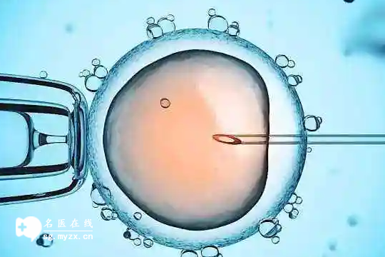2025年广东试管婴儿价目表一览！助孕明细清单公开，看看具体多少钱