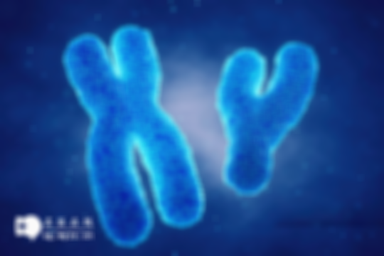 17号染色体异常对胎儿有哪些影响？我来告诉你：出现缺失、重复要尽早干预！