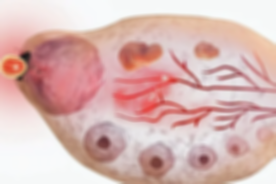 【今日科普】想懷孕也有技巧!掌握排卵同房“黃金時間”快速提升受孕率!