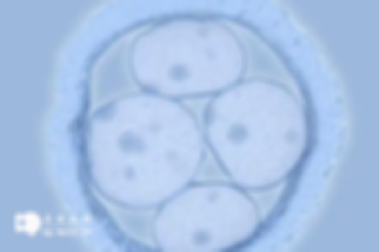 新乡试管婴儿价格详解：2025年各环节总花销及影响因素概览，码住慢慢看！