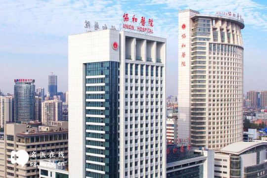 2025年武汉市第三代试管婴儿医院综合排名揭晓：这5家在本地最出名，别找错了！