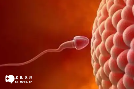  打促排针后失眠怎么回事？专家揭晓4打大真相，可不能忽视了