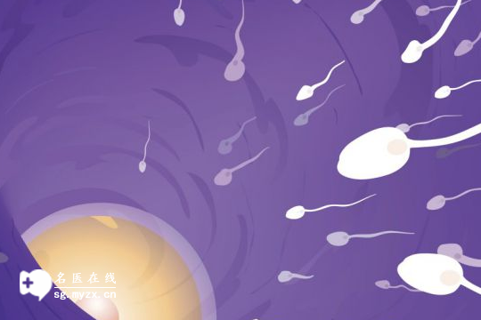 男性精子活力为“0”并非无法逆转，多吃新鲜水果蔬菜+生活调理，助你重振雄风！