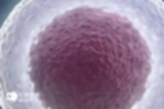 2025年大理試管嬰兒詳細費用明細一覽，特別提醒：價格波動很正常，具體視情況而定！