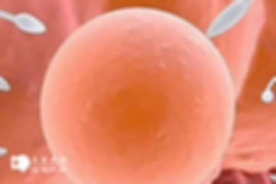 哺乳期排卵如何判断？仅靠月经来推测易出错，建议试试这4招，快速掌握排卵期