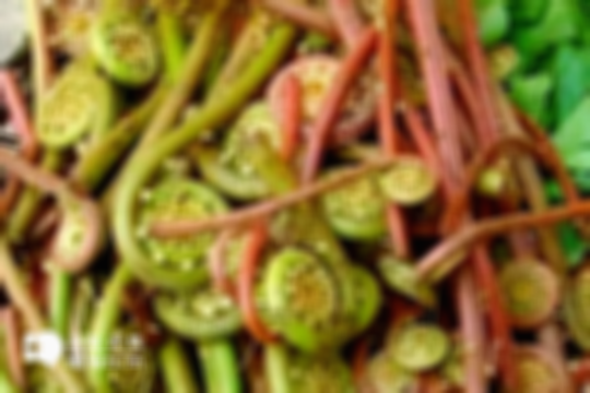 孕妇饮食禁忌揭秘：这3种野菜孕期千万不能吃，营养摄入要讲究方法！