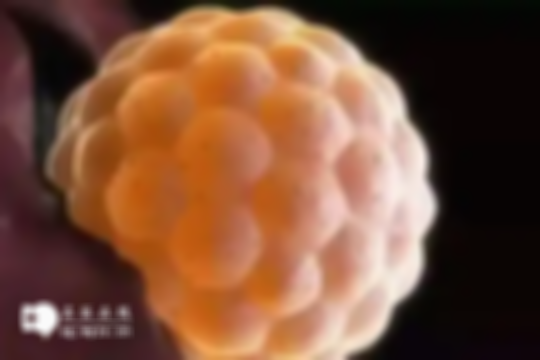 胚胎移植十一天症状一览，轻微出血、腹痛等无需恐慌，两周后自然消失！