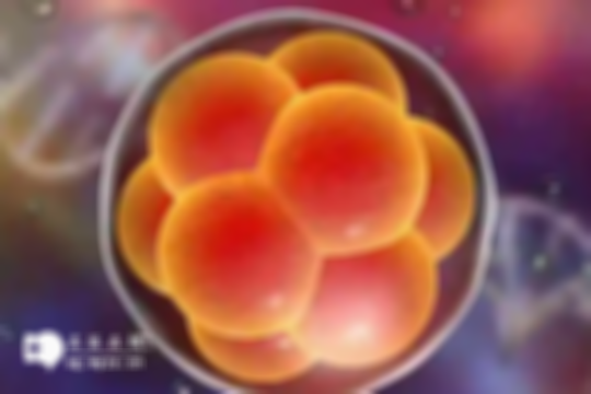 揭秘胚胎移植黄金6小时：这样做，着床成功率瞬间飙升！你掌握了吗？