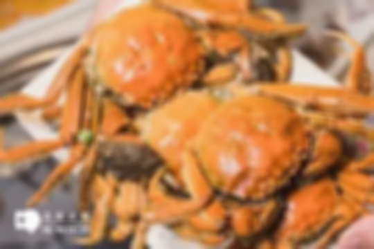 医生紧急提醒！绿豆与这10种食物同吃=伤害自身健康，速转发家族群