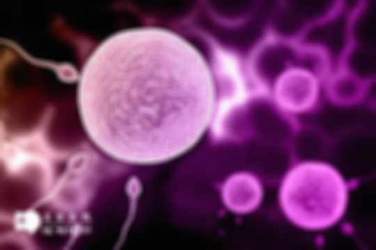 科学揭秘：卵泡大小对卵子与胚胎质量有影响—18— 25mm 为受精成功率高的黄金数值！