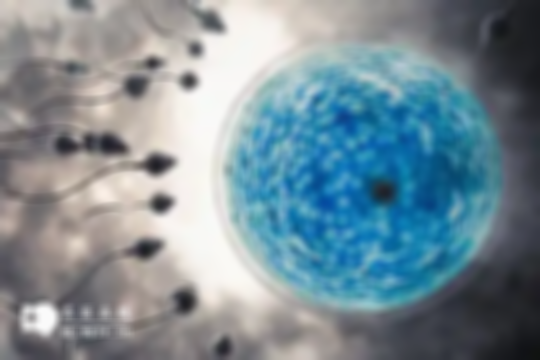 长沙做三代试管婴儿的价格公布（附2025年长沙地区部分医院费用明细参考）