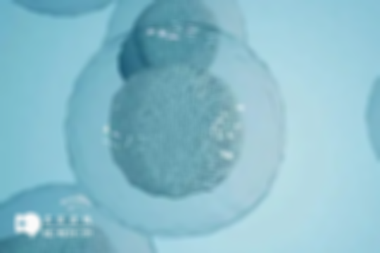 珠海本地做三代试管技术的费用明细分析：总计需要多少钱？看这篇就对了