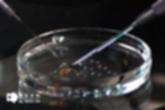 试管费用指南：石家庄本土做试管婴儿技术的各项目费用明细大起底！不看后悔