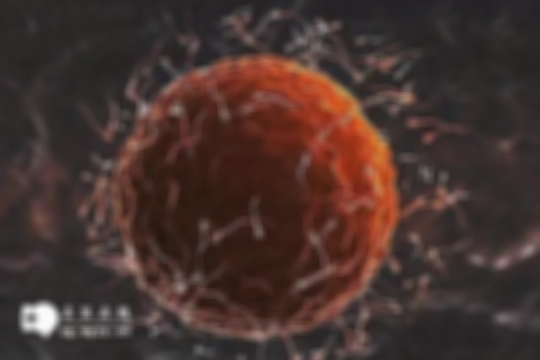 8-15万就能拿下？真的假的？2025年山东做三代试管技术的大致费用已公开速看！