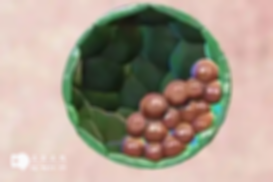 郑州做试管婴儿要多少钱？大概费用花在哪都列好了