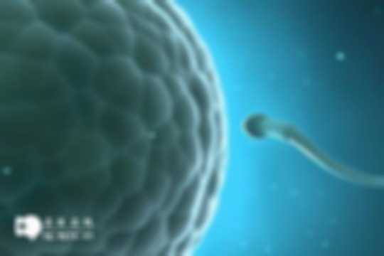 兰州做试管婴儿大概要多少钱？2025分享试管各个阶段的收费标准（总计3-8万）
