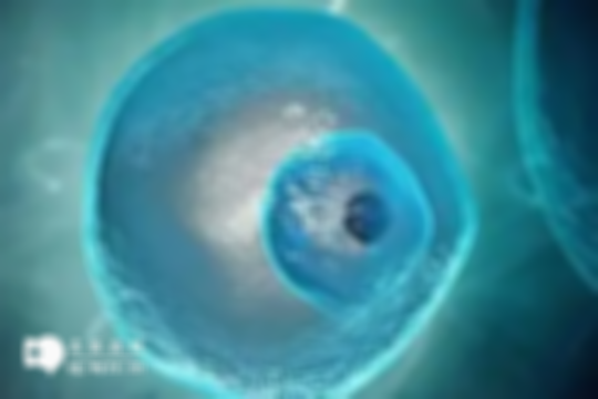 2025年佛山做三代试管婴儿一次的总成本是多少