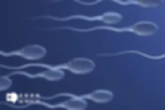 2025年济南做试管技术的各阶段项目清单表一览！