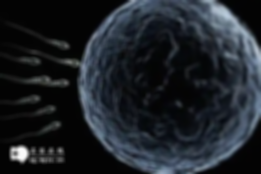 2025年格鲁吉亚三代试管助孕价格公开：从检查到移植共花多少钱？