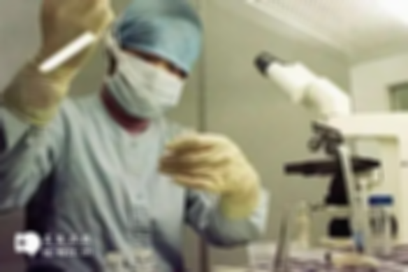 单身女性在华中科技大学同济医学院附属同济医院做试管可以吗？费用与成功率详解