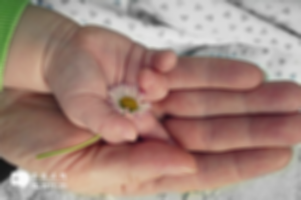 2025年没有结婚证能在锦州市妇幼保健院做试管婴儿吗？详细流程及费用解析
