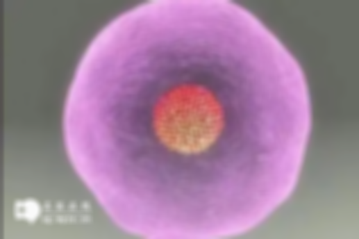 格鲁吉亚三代试管价格 | 详细费用明细大公开，快算算你花多少钱