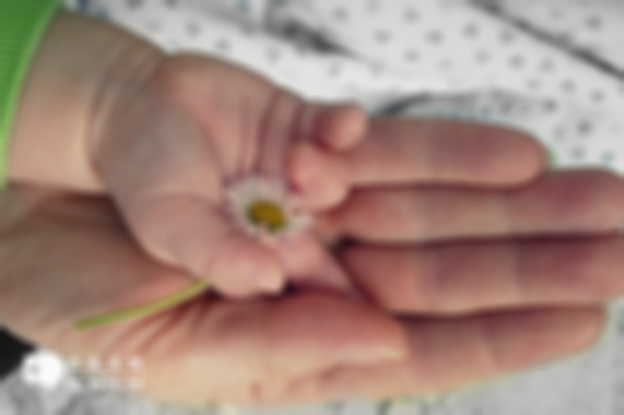 2025年没有结婚证去福州市妇幼保健院做试管可以吗？试管流程及费用攻略来了