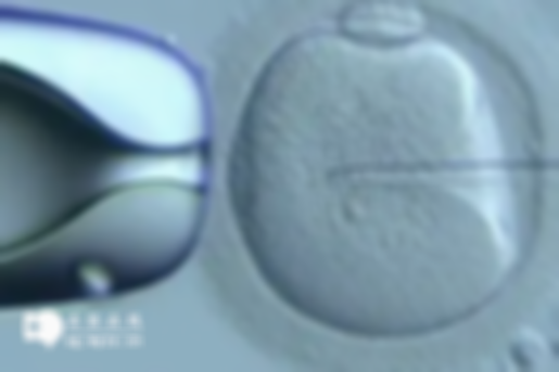 烟台三代试管价格大概是多少钱 | 烟台三代试管助孕费用标准一览，你准备得如何？