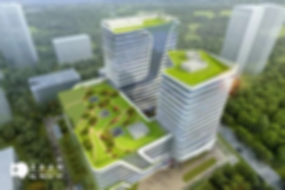 2025年山东省青岛地区助孕机构推荐：比较靠谱的助孕公司有哪几家？