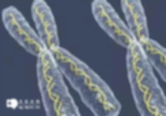 2025年在海南做三代试管选哪家公司比较靠谱？