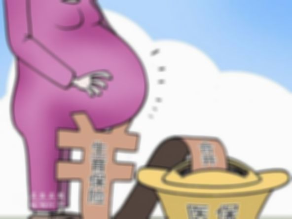 马来西亚选择第三方机构助孕的费用是多少？