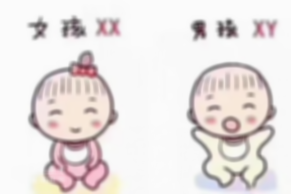 哈尔滨市三大助孕公司已公布，附详细排名