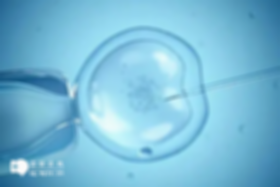 单身人士能在安徽省第二人民医院做试管婴儿吗？费用与成功率全解析