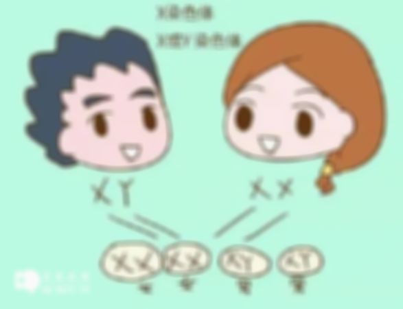 乐山有哪些助孕公司/乐山市几家助孕机构