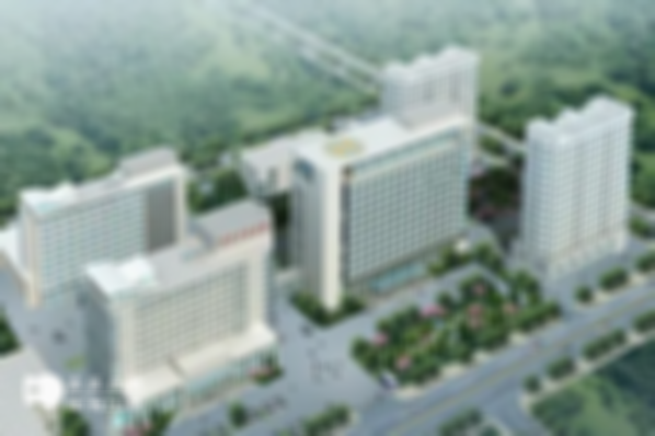 2025广东湛江市高成功率私立试管医院前十强