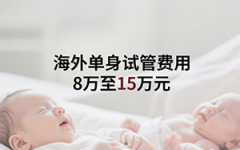 单身女性去国外做试管婴儿多少钱