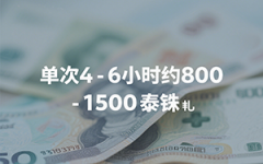 泰国试管翻译多少钱