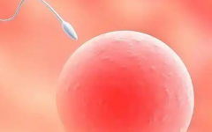 蚕豆病可以做试管婴儿吗