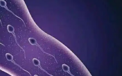 碎片率多少才可以做试管