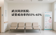 武汉试管包成功医院