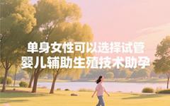 单身女想要个孩子怎么办