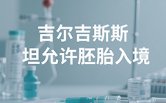 胚胎转运吉尔吉斯斯坦