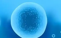 成都华西附二院试管价格