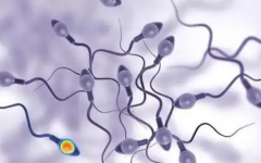 男的精子有问题能试管吗